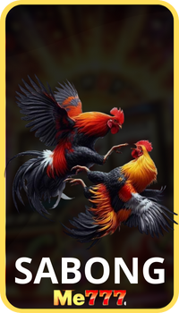 Me777 16 Sabong betting